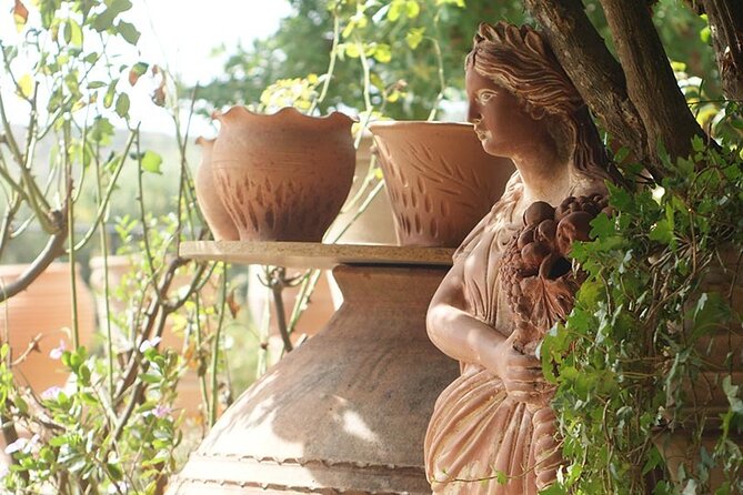 Cretan Wines & Olive Oil Tour - the Treasures of Crete - The Sum Up