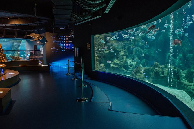 CRETAquarium Entrance Ticket in Crete - Convenient Ticketing Process