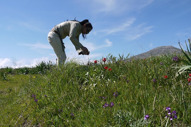 Crete Margarite Amari Valley and Spili Small-Group Tour  - Heraklion - Reviews