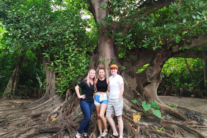 Cultural Cancun City Private Tour, Mayan Museum, Cenote and Lunch - Pricing and Terms