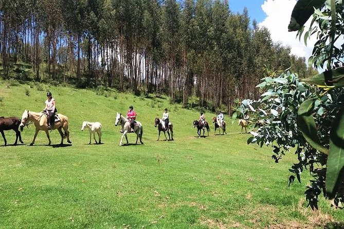 Cusco Small-Group Horseback Ride - Reviews and Photos