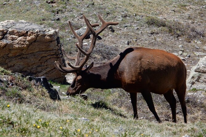 Custom Private Rocky Mountain National Park Tour - Miscellaneous