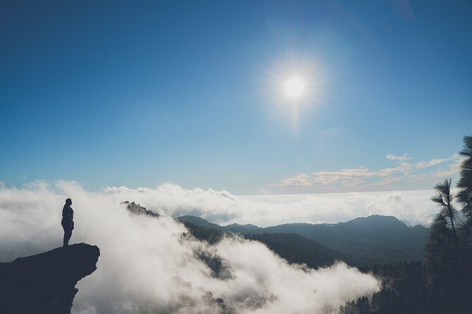 Custom Private & VIP Highlights Tour of Gran Canaria - Tour Guide Qualities and Customer Recommendations