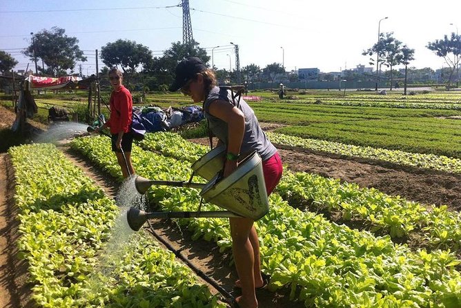 Da Nang Home Cooking Class - Pickup Service Available for Specific Hotels