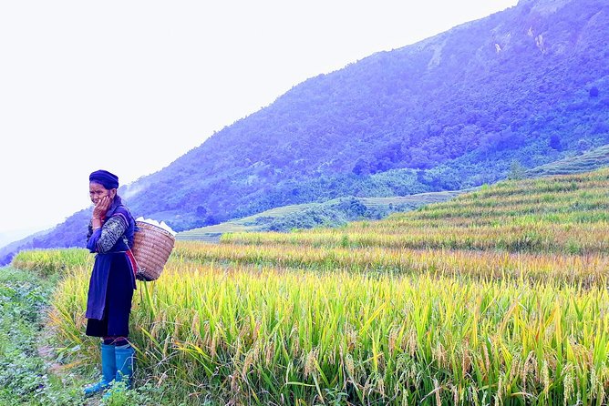 Daily Tour: Sapa Trekking in Muong Hoa Valley, Bamboo Forest - Immersive Cultural Experience: Insights Into Local Life