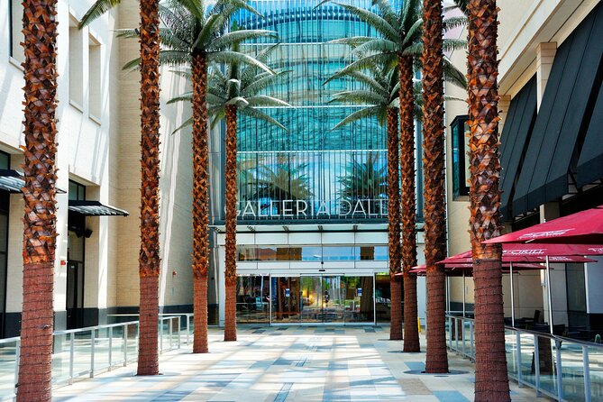 Dallas Best of Shopping Malls in the Luxury Private Limousine - Luxury Shopping Excursion in Dallas