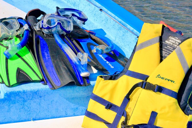 Danzante Island and Snorkel Tour From Villas Del Palmar Hotel - Traveler Photos and Reviews