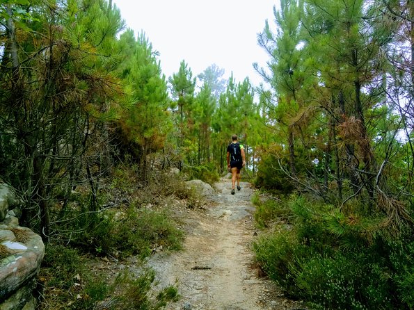 Day Hike in the Mountains of Sanremo - Pricing