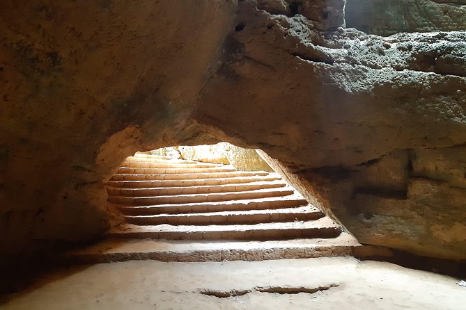 Day Trip off the Beaten Track to Cap Bon From Tunis or Hammamet - Tips for Exploring Cap Bon Off the Beaten Track