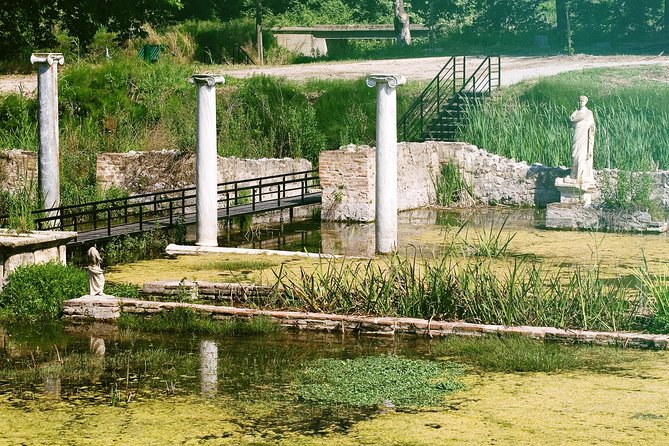Day Trip to Dion and Mountain Olympus From Thessaloniki - Positive Reviews and Feedback