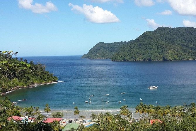 Day Trip to Maracas Beach - Important Information for Visitors