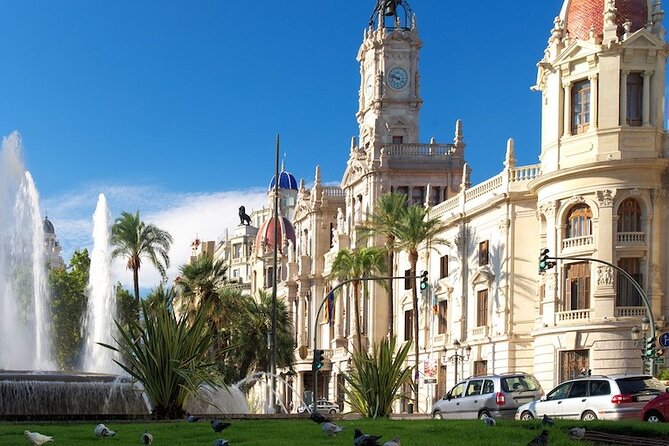 Departure Private Transfer: Valencia to Valencia Airport VLC in Luxury Van - Operator Information