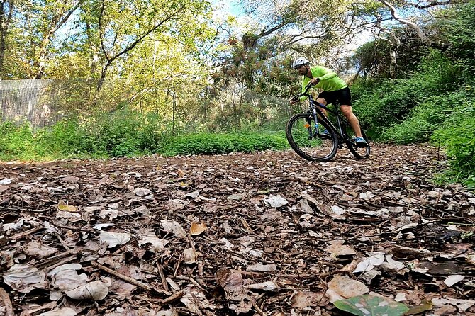 Descend in Mountain Bike in Northern Forests of Gran Canaria - Tips for a Memorable Mountain Biking Experience