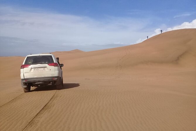 Desert and Ocean Private Day Tour - Transportation and Logistics
