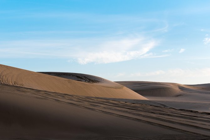 Desert Combo Safari, Camel Ride, Quad Bike and Dune Bashing(All Inclusive) - Cancellation Policy