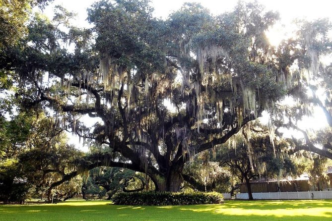 Destrehan Plantation and Swamp Tour Combo From New Orleans - Issues With the Tour Bus Operator and Feedback on the Tour