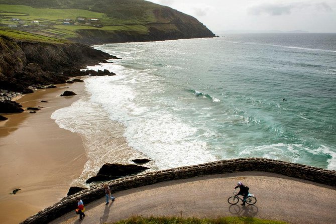 Dingle Peninsula Day Tour From Limerick: Including the Wild Altanic Way - Transportation and Logistics
