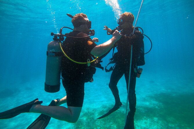 Discover Culebra: 2-Tank Scuba Diving - What To Expect and Additional Info