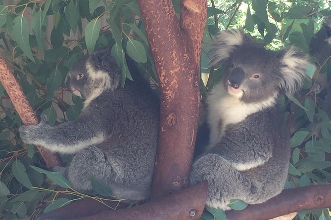 Discover Perth Full Day Tour - Additional Information