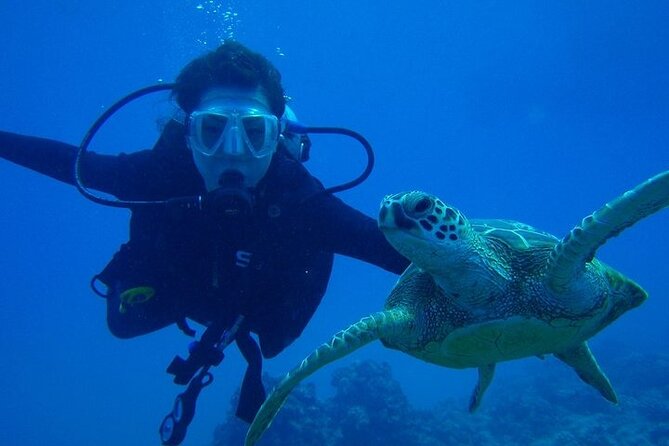 Discover Scuba Diving & Beach Club With Transportation in Riviera Maya - Cancellation Policy
