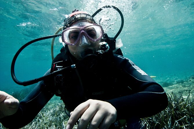 Discover Scuba Diving Experience in Andros Island! - Unforgettable Marine Life Encounters