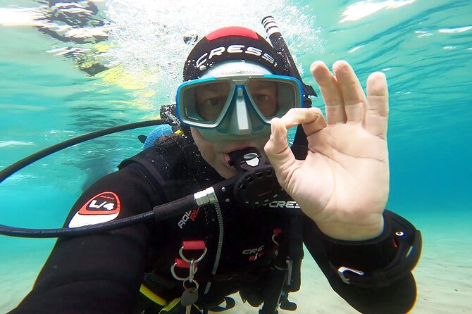 Discover Scuba Diving Experience in Nea Makri - Overall Rating and Breakdown
