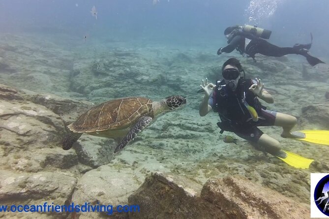 Discover Scuba Diving, Free Pictures Included - Price and Group Size
