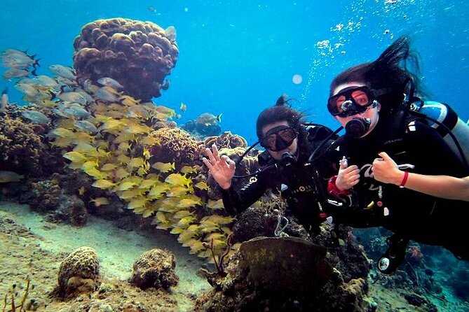 Discover Scuba Diving in Cozumel Paradise Reef - Additional Information