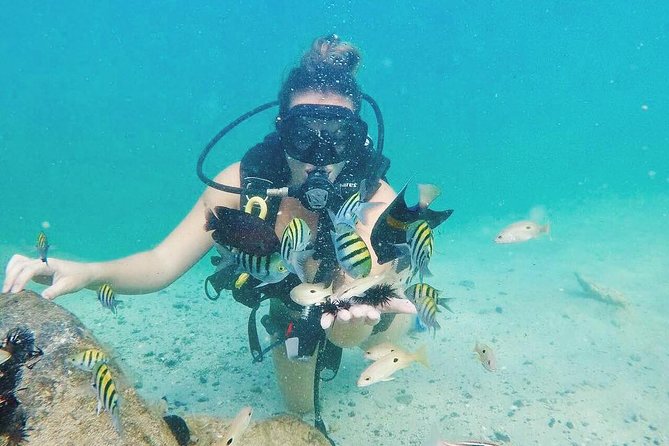 Discover Scuba Diving in Dubai - Cancellation Policy and Traveler Reviews