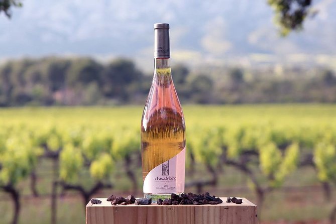Discovering Château Gassier - How to Visit Château Gassier