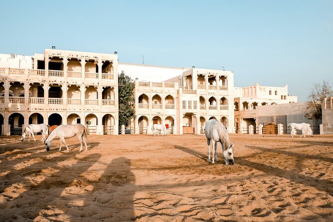 Discovering Doha Half-day Guided Tour - Traveler Photos and Reviews