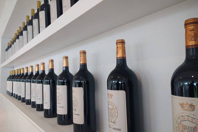 Discovery Day of the Médoc Classified Wines - Private Tour - Historical and Cultural Insights