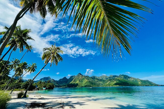 Discovery of Photography in Moorea, Photo Tour & Class - Tips for Capturing the Best Shots