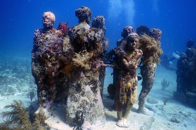 Diving in Cancun Underwater Museum of Art - Common Questions