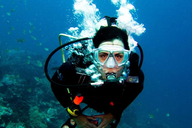 Diving in the Mediterranean Sea - Additional Information and Resources