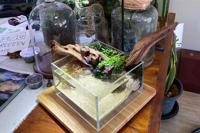 DIY Terrarium Workshop in Hua-Hin - Additional Information