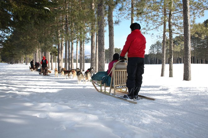 Dogsled Adventure in Mont-Tremblant - Visit the Kennel and Meet Puppies