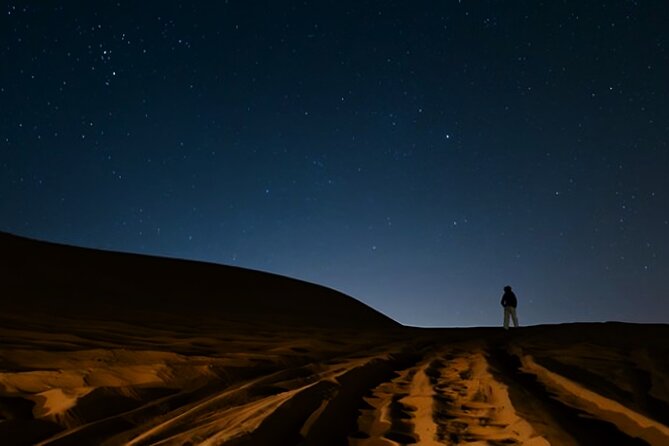 Doha Night Desert Safari Camel Ride Dune Bashing With Transfer - Meeting and Pickup