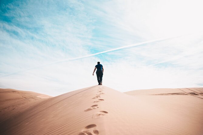 Doha Private Half-Day Guided Desert Safari Tour - Expert Guides
