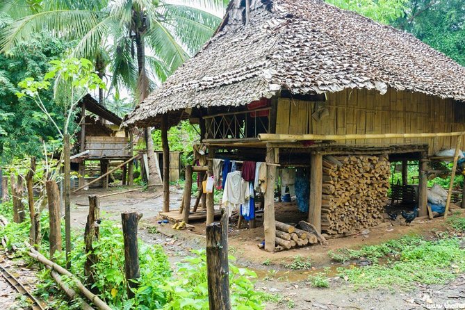 Doi Inthanon Day Trip From Chiang Mai Including Karen Hill Tribe & Twin Pagodas - Stress-free Transportation and Guided Tour