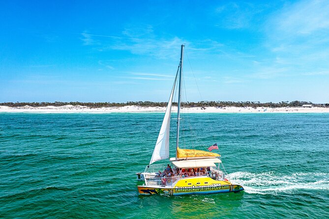 Dolphin Sightseeing Tour on the Footloose Catamaran From Panama City Beach - The Sum Up