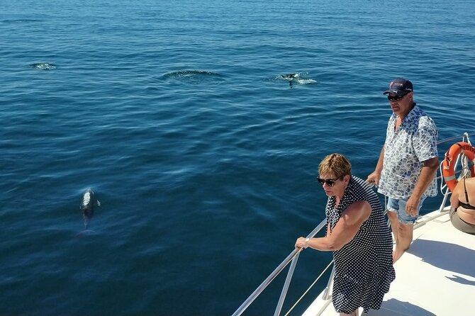 Dolphin Spotting Trips in Fuengirola With Free Drinks and Snacks - Traveler Photos and Reviews
