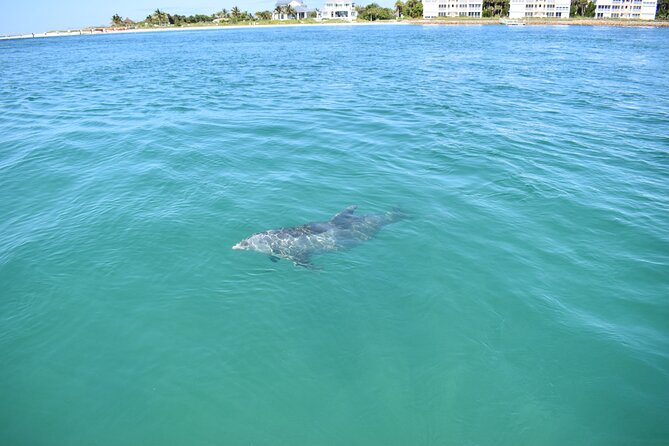 Dolphin Tiki Cruise Around Fort Myers Beach - Convenient Meeting and Pickup Location