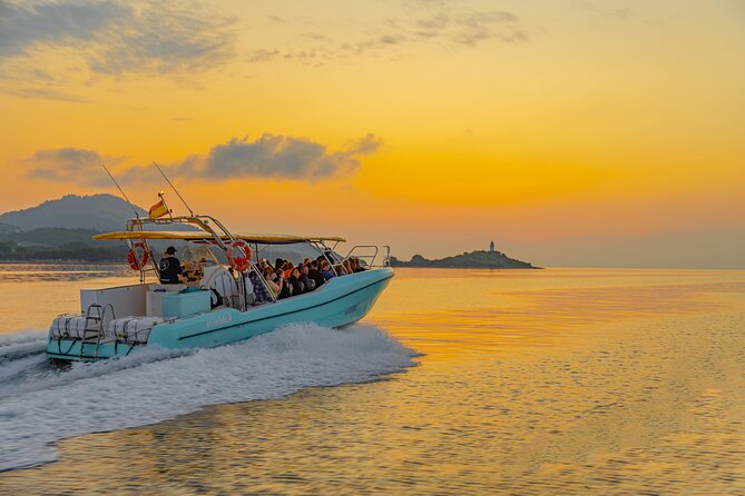 Dolphin Watching by Boat - Important Additional Information