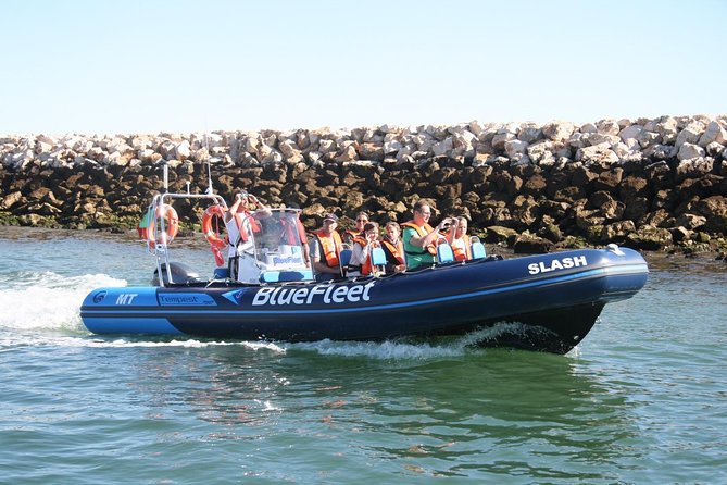 Dolphin Watching From Lagos - The Sum Up