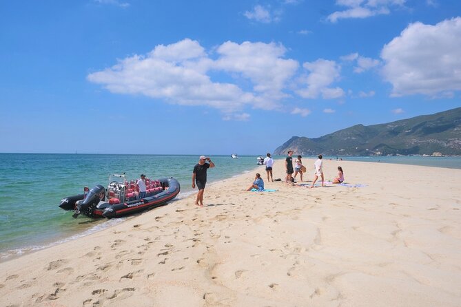 Dolphin Watching in Setúbal - Cancellation Policy for Dolphin Watching