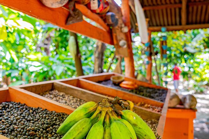 Dominican Republic Countryside Safari Tour From Punta Cana - Tour Overview and Inclusions