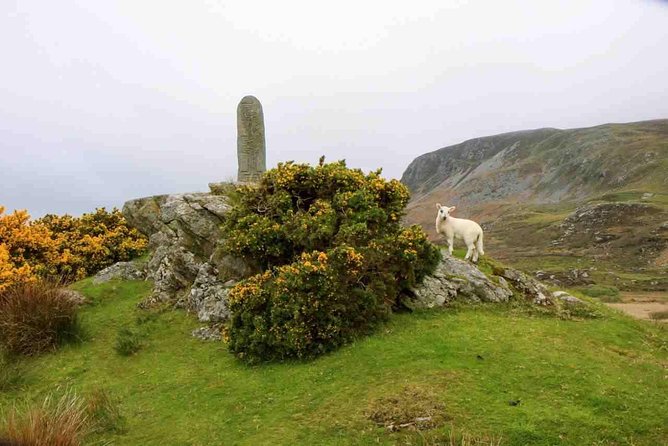 Donegal Coast One Day Self-Guided E-Bike Tour - Directions