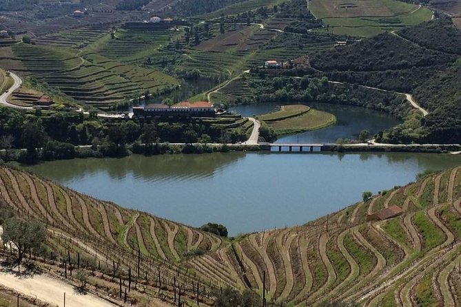 Douro Winery Tour With Cruise and Lunch From Peso Da Regua - Common Questions