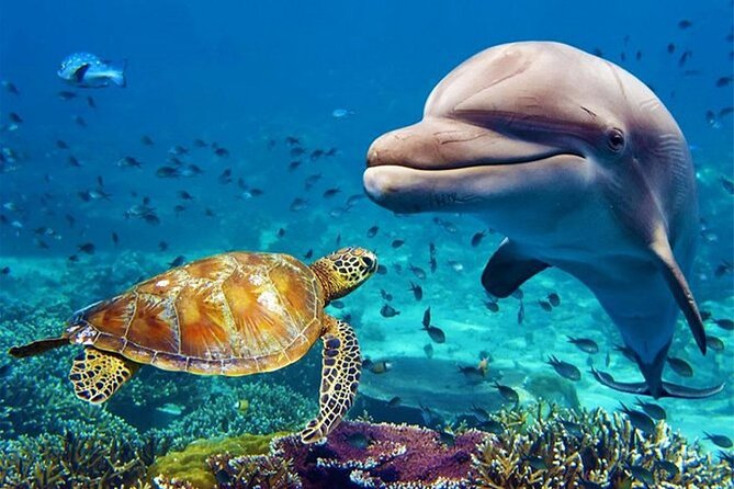 Dubai Aquarium and Underwater Zoo Admission Ticket - Directions